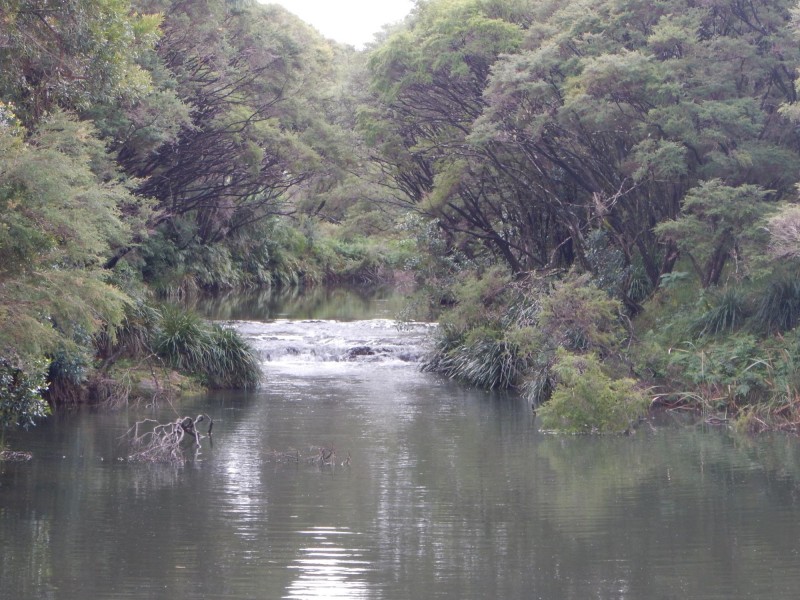 5 Lorne Street, Lowanna NSW 2450