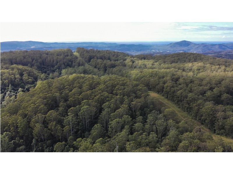 Lot 42 Gundarene Road, Lowanna NSW 2450