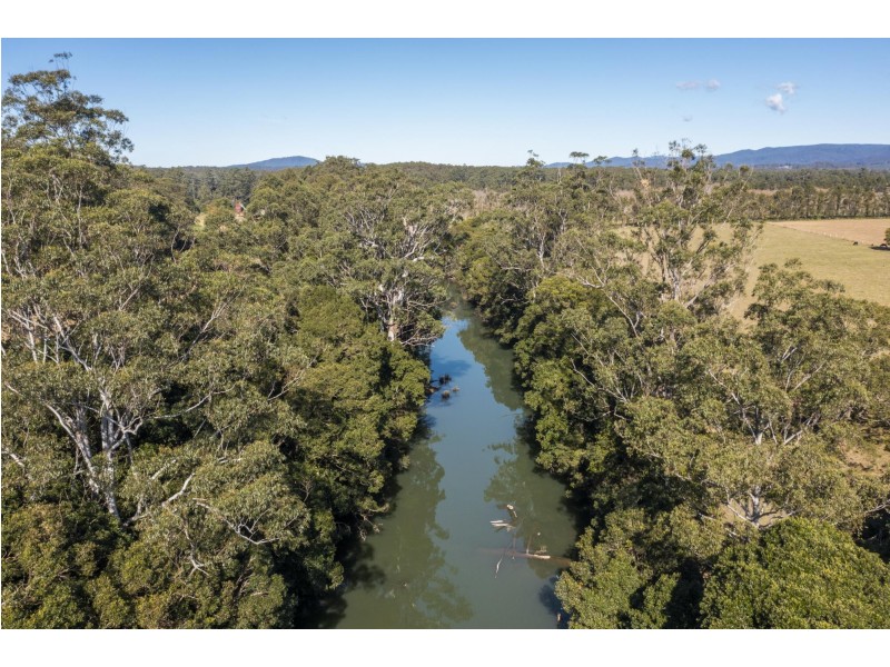 239 Waihou Forest Road, Glenreagh NSW 2450
