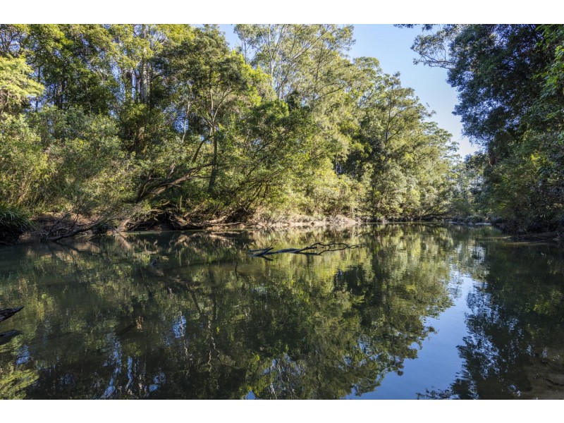 239 Waihou Forest Road, Glenreagh NSW 2450