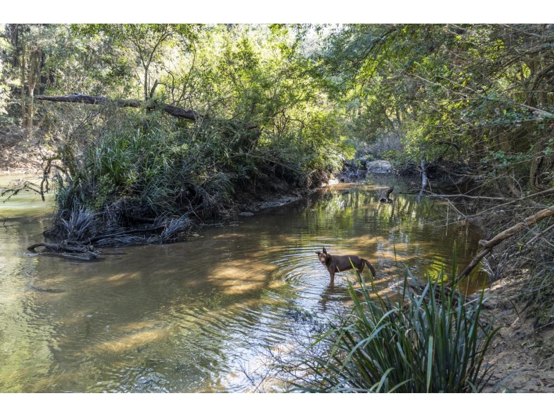 239 Waihou Forest Road, Glenreagh NSW 2450