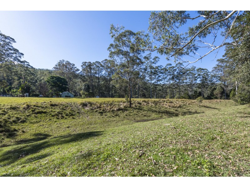 239 Waihou Forest Road, Glenreagh NSW 2450