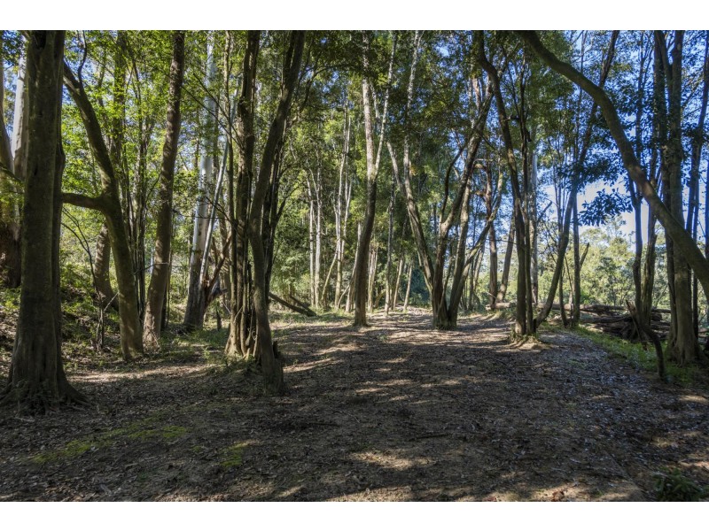 239 Waihou Forest Road, Glenreagh NSW 2450