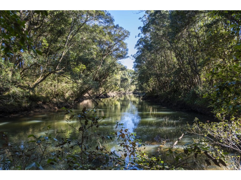 239 Waihou Forest Road, Glenreagh NSW 2450