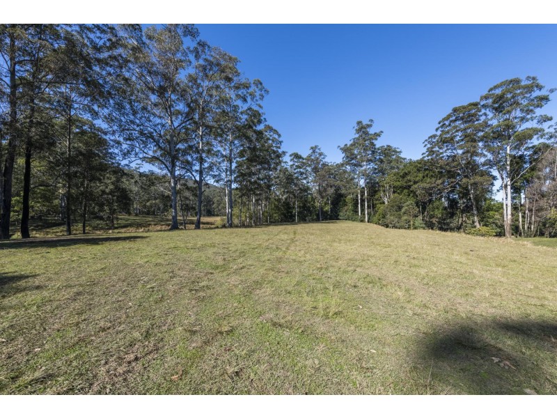 239 Waihou Forest Road, Glenreagh NSW 2450