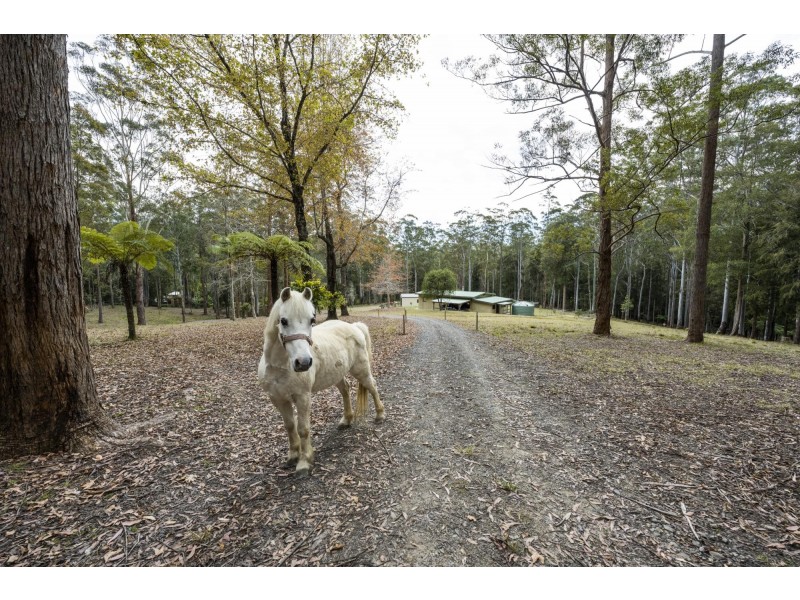 132 Mole Creek Road, Lowanna NSW 2450