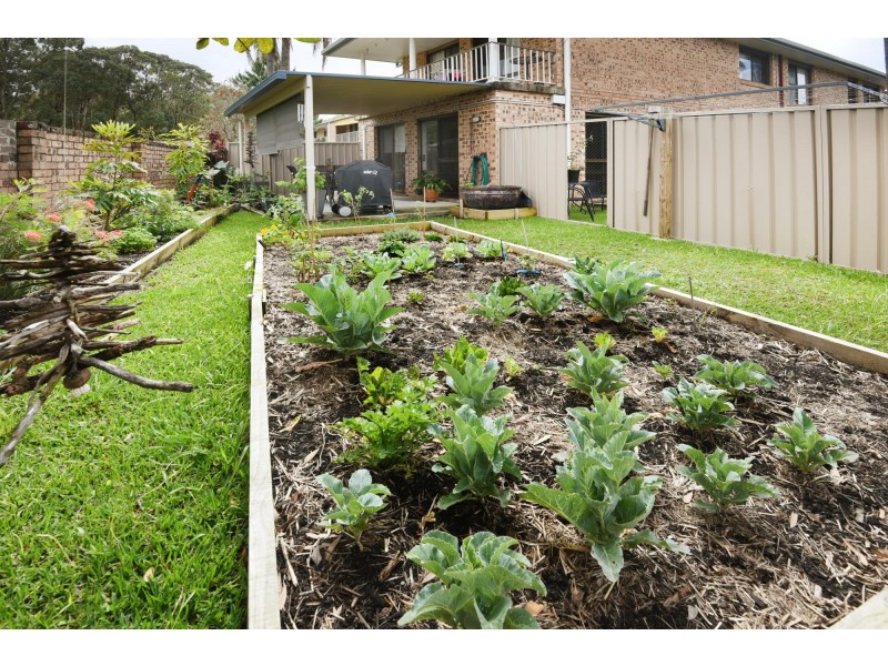 7/17 Arthur Street, Coffs Harbour NSW 2450