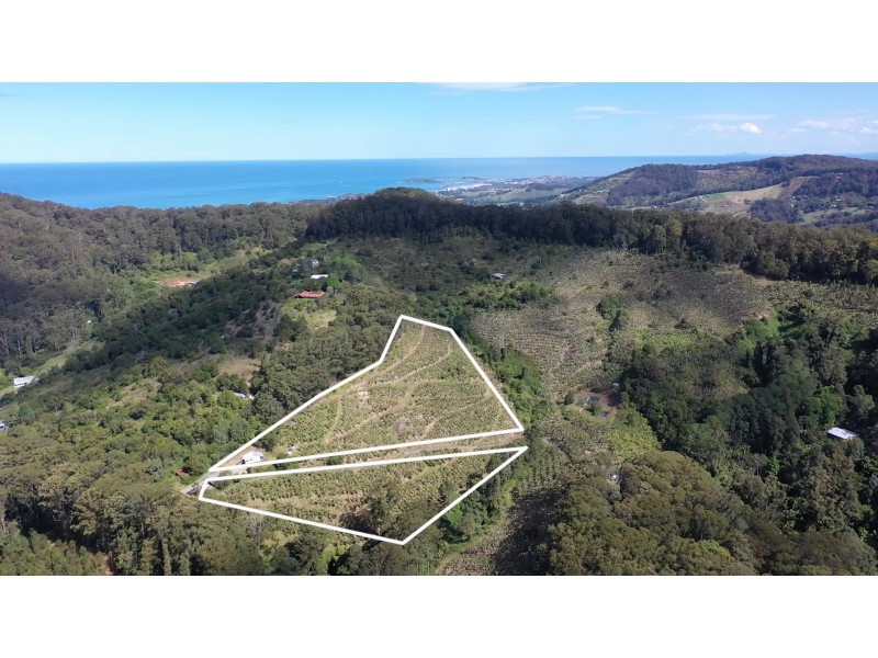321 Gaudrons Road, Sapphire Beach NSW 2450