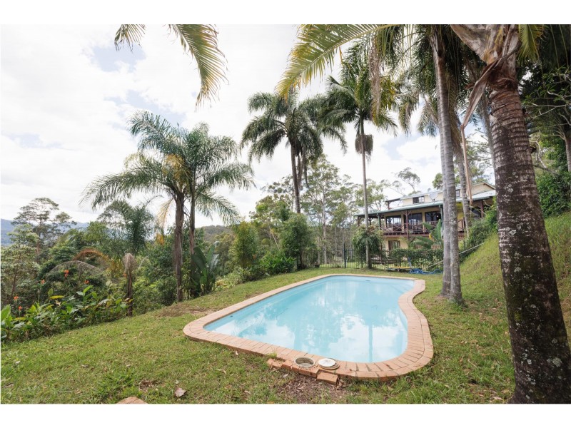 1161 Darkwood Road, Thora NSW 2454