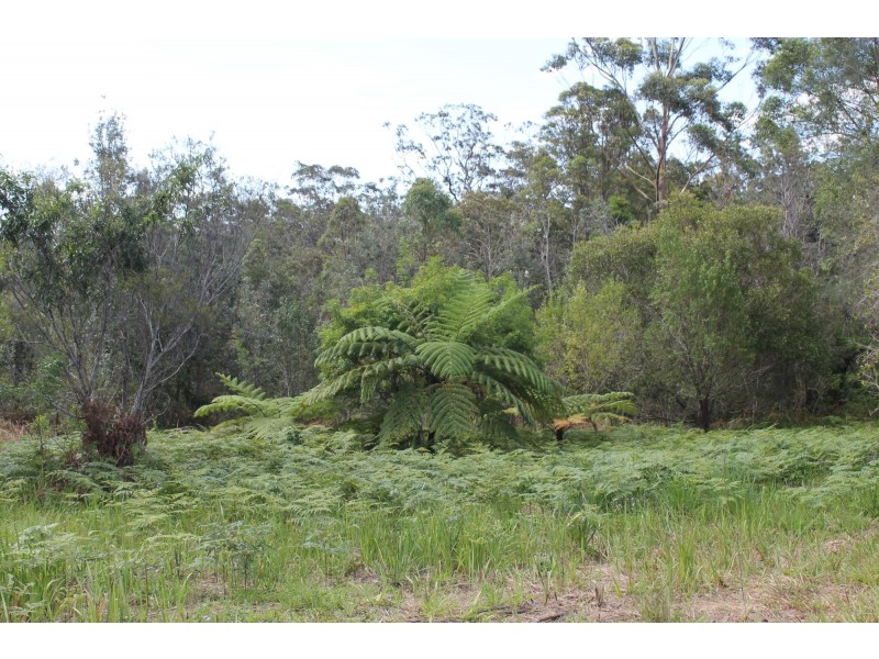 Lot 13 DP1176070/ Shortcut Road, Raleigh NSW 2454
