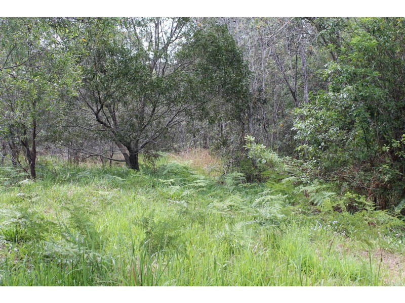 Lot 13 DP1176070/ Shortcut Road, Raleigh NSW 2454