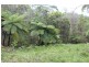 Lot 13 DP1176070/ Shortcut Road, Raleigh NSW 2454