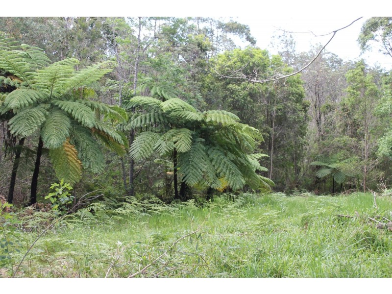 Lot 13 DP1176070/ Shortcut Road, Raleigh NSW 2454