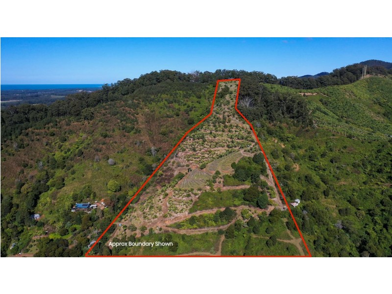 115B – 115 Bennets Road, Coffs Harbour NSW 2450