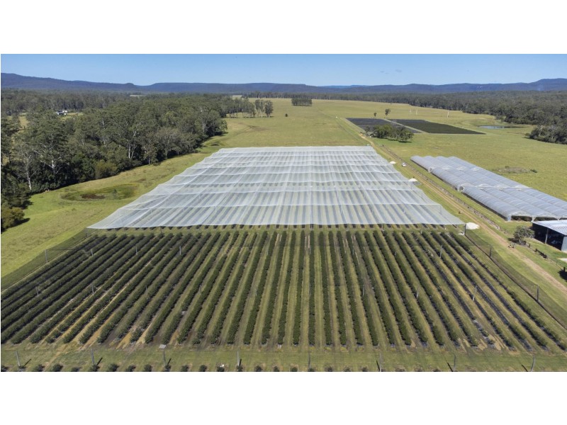 675 Kungala Road, Kungala NSW 2460