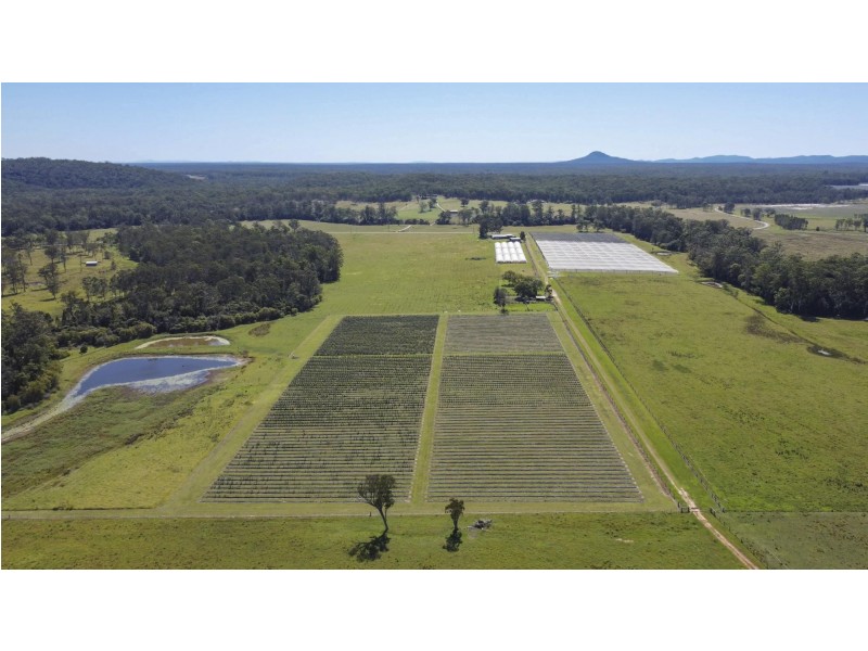 675 Kungala Road, Kungala NSW 2460