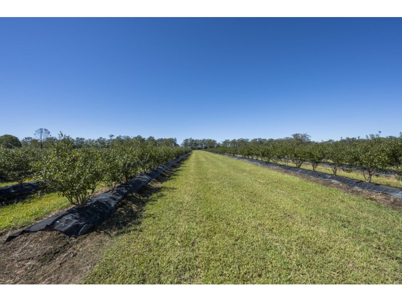 675 Kungala Road, Kungala NSW 2460