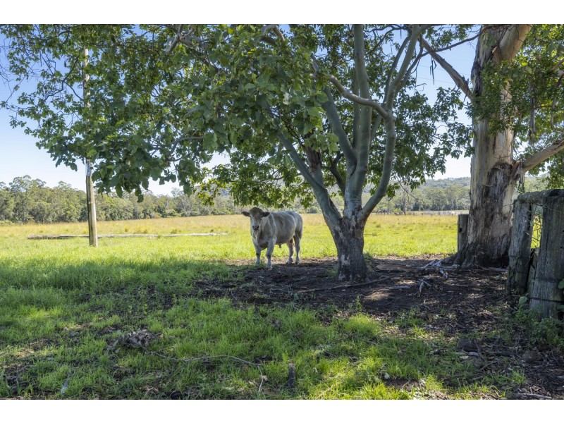 675 Kungala Road, Kungala NSW 2460