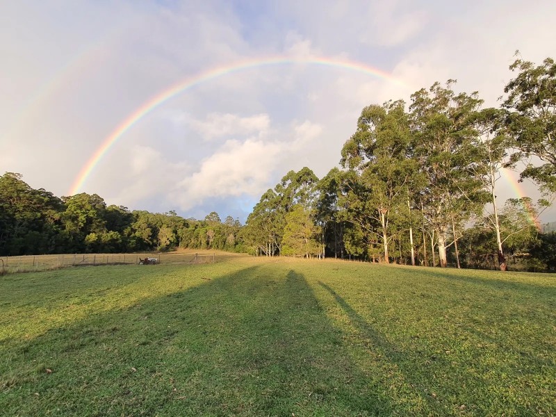 1111 South Arm Road, Brierfield NSW 2454