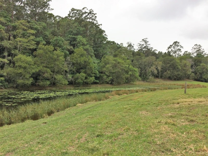 1111 South Arm Road, Brierfield NSW 2454