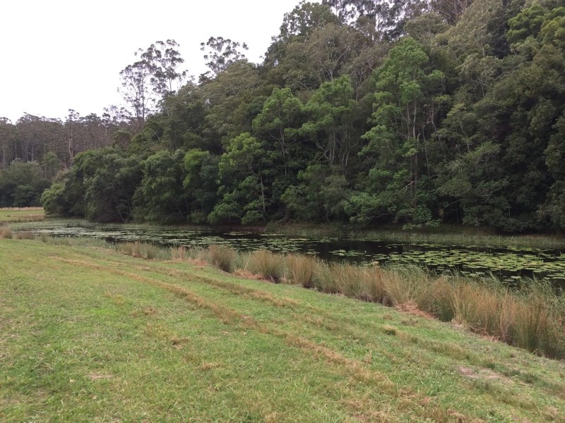 1111 South Arm Road, Brierfield NSW 2454