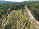 Glenreagh NSW 2450