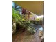 7/2-4 Boultwood Street, Coffs Harbour NSW 2450