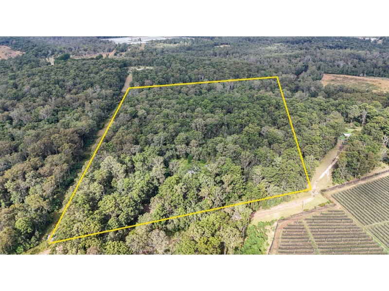 153 Browns Road, Halfway Creek NSW 2460