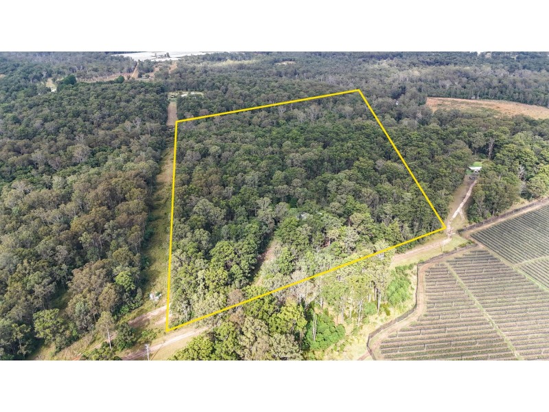 153 Browns Road, Halfway Creek NSW 2460