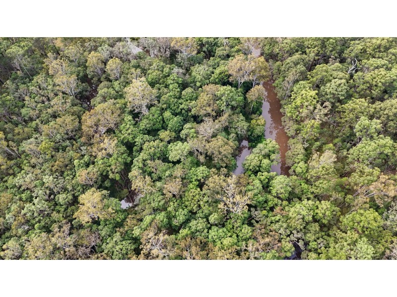 153 Browns Road, Halfway Creek NSW 2460