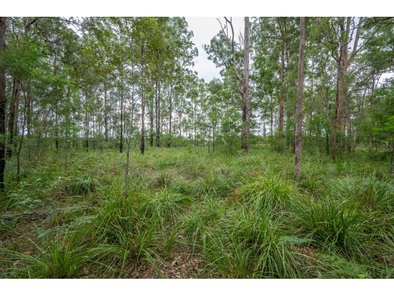 153 Browns Road, Halfway Creek NSW 2460