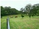 53 Burkes Lane, Valla NSW 2448
