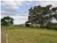 121 Whites Road Yarranbella via, Macksville NSW 2447