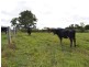 Lot 12 Wilson Road, Macksville NSW 2447