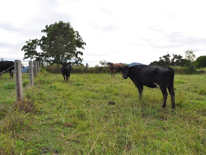 Lot 12 Wilson Road, Macksville NSW 2447