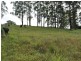 Lot 12 Wilson Road, Macksville NSW 2447