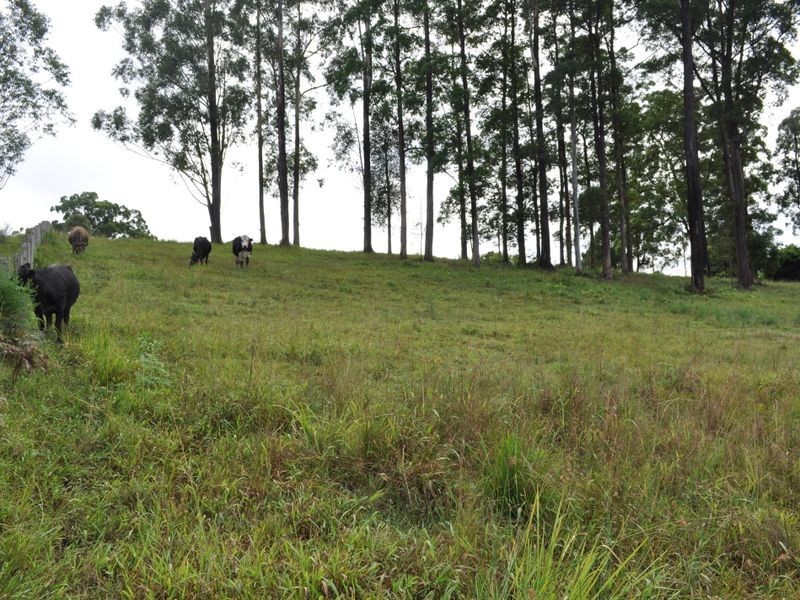 Lot 12 Wilson Road, Macksville NSW 2447