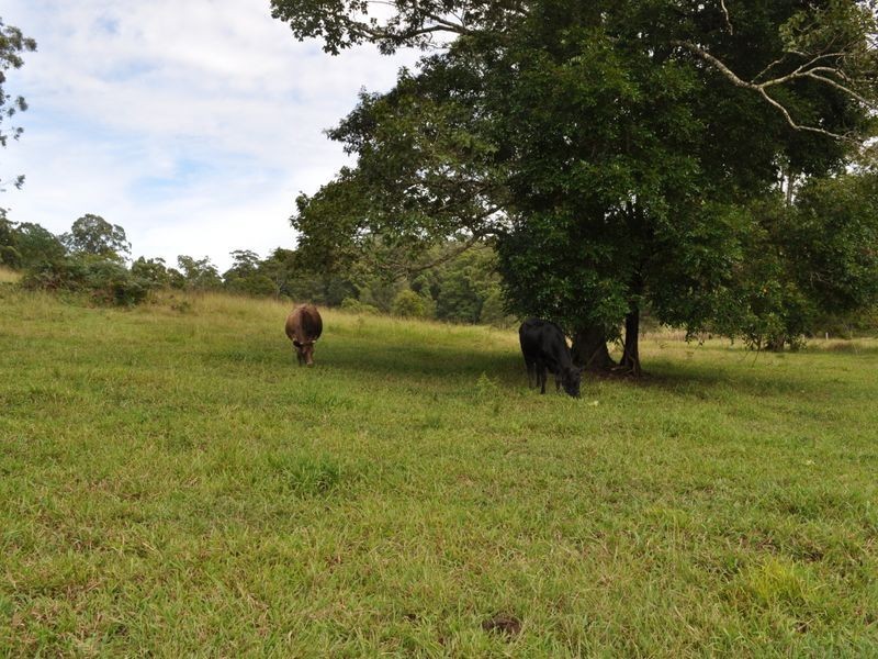 Lot 12 Wilson Road, Macksville NSW 2447