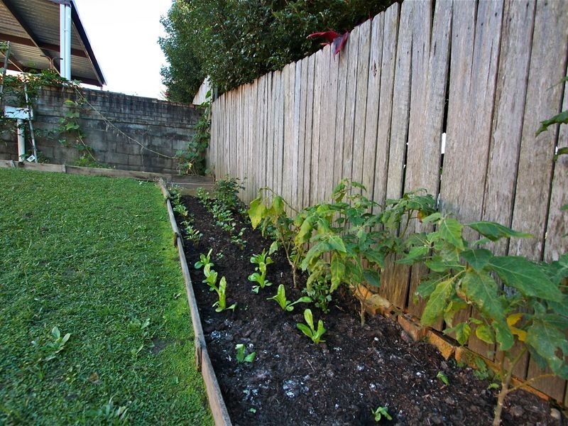 5/2 Toormina Place, Coffs Harbour NSW 2450