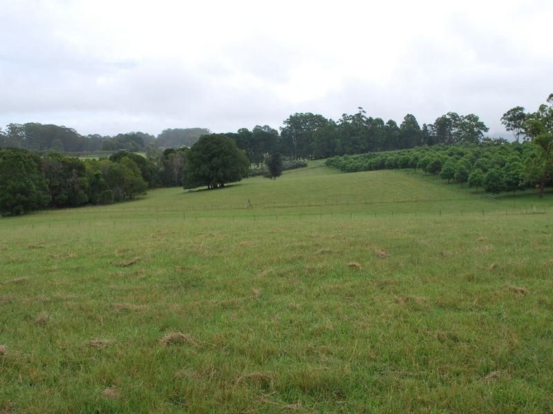 Lot 12 Pine Creek Way, Bonville NSW 2441