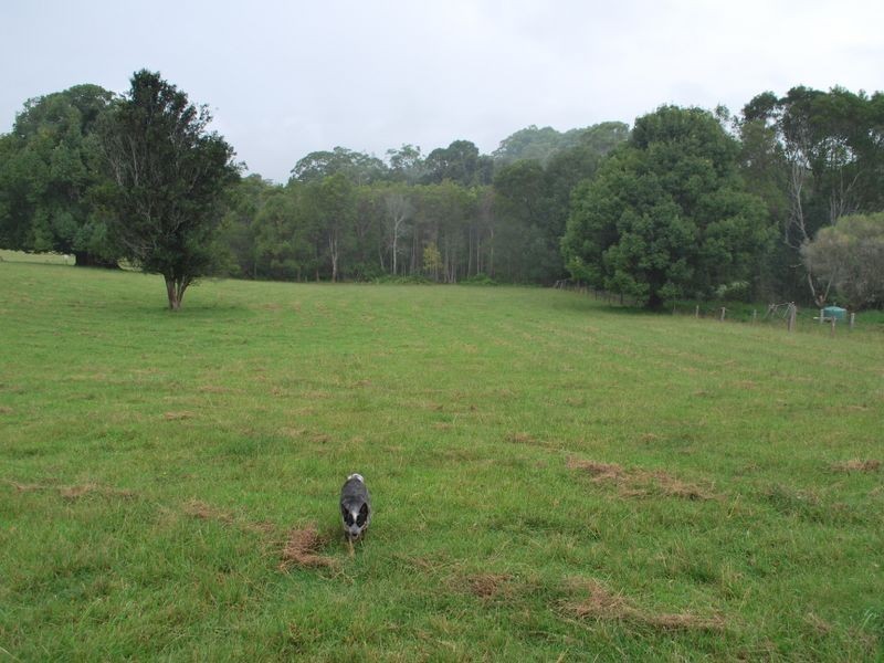 Lot 12 Pine Creek Way, Bonville NSW 2441