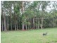 Lot 12 Pine Creek Way, Bonville NSW 2441