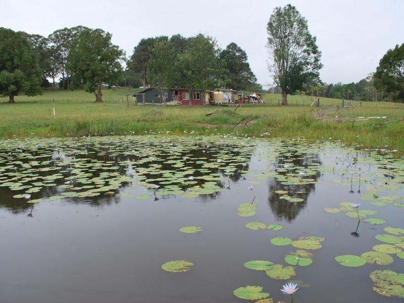 Lot 12 Pine Creek Way, Bonville NSW 2441