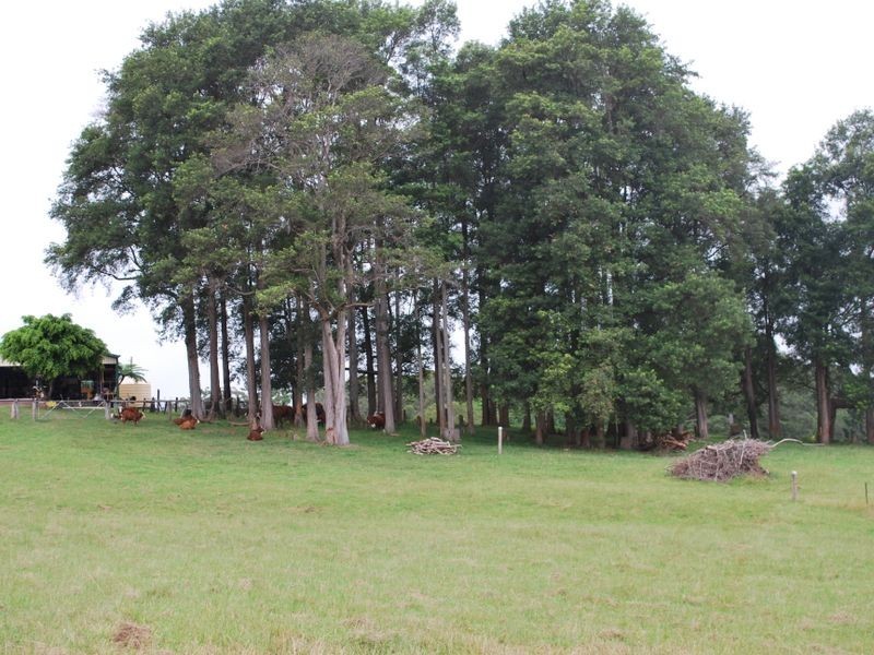 Lot 12 Pine Creek Way, Bonville NSW 2441