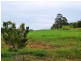 Lot 8 Mimiwali Drive Storyland Gardens, Bonville NSW 2441