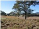 237 Simpsons Ridge Rd, Bowraville NSW 2449