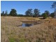 237 Simpsons Ridge Rd, Bowraville NSW 2449