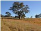 237 Simpsons Ridge Rd, Bowraville NSW 2449
