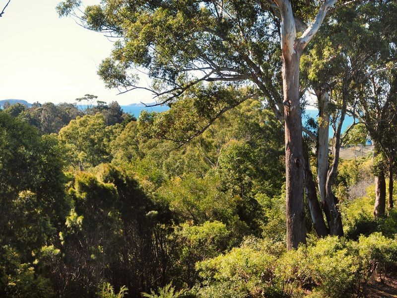 3/8 Grasslands Close, Coffs Harbour NSW 2450