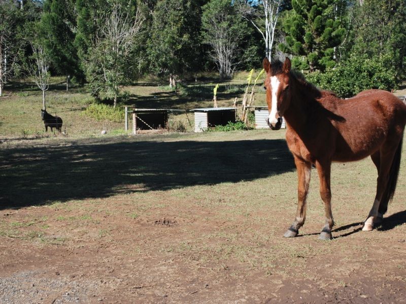 680 Valery Road, Valery NSW 2454